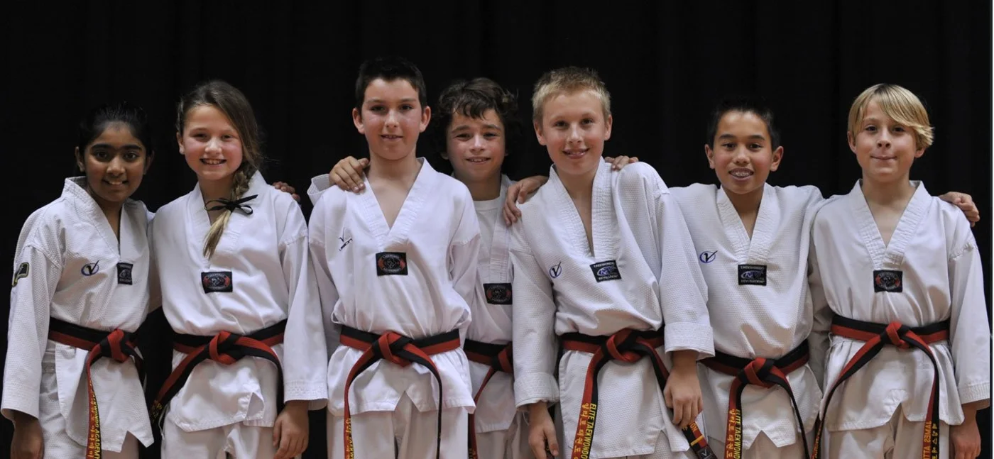 Elite Taekwondo Academy business photo